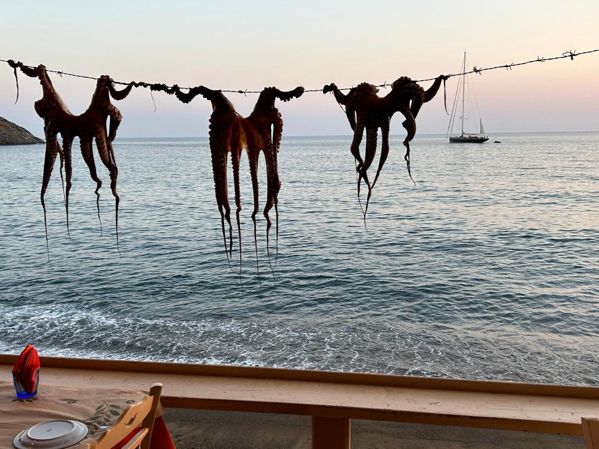 Ocean View Studios And Luxury Rooms Plomari Exterior foto